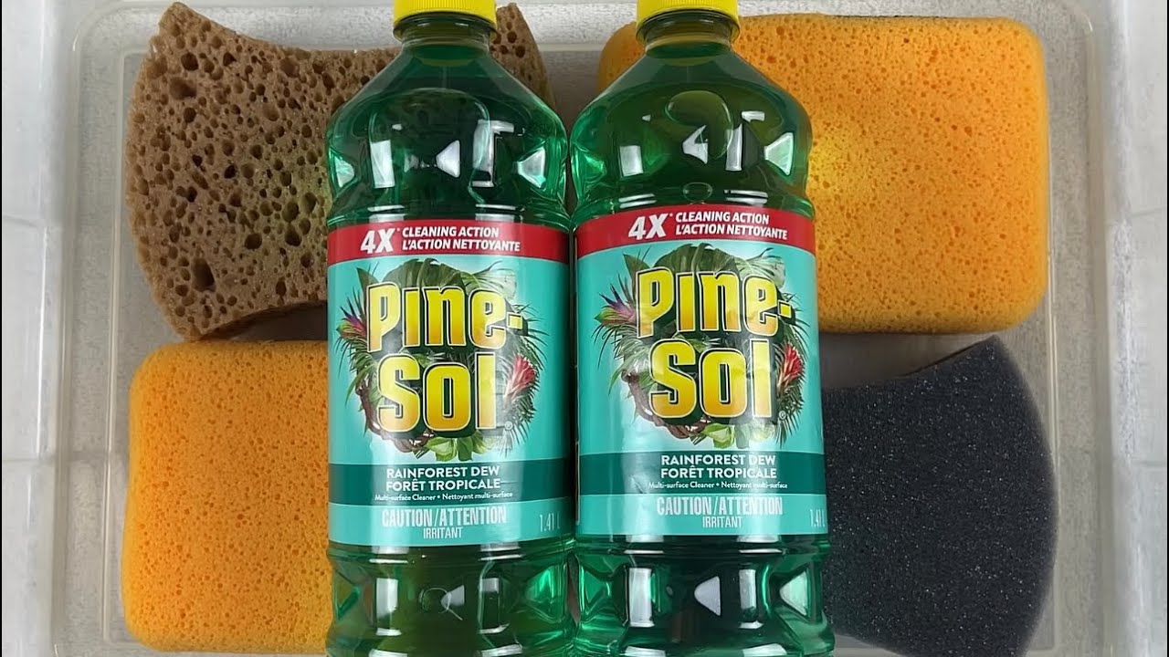 Pine Sol Rainforest Dew 🧽 ASMR SPONGE SQUEEZES 🤗