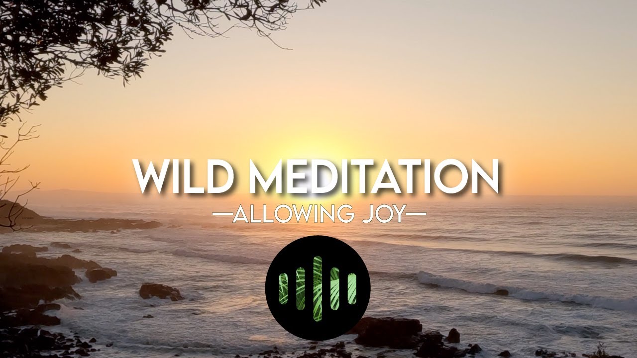 Reclaim Your Joy | 7-Minute Guided Nature Meditation