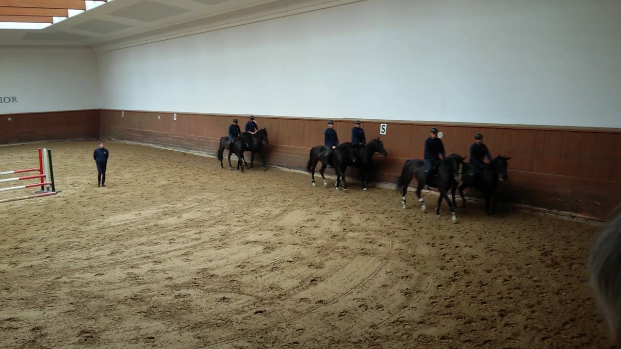 Addestramento equestre Corazzieri. Caserma Carabinieri 