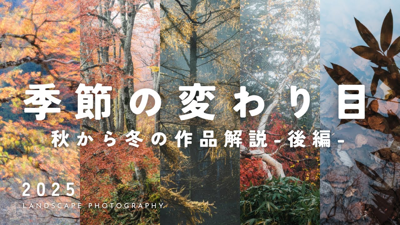 【自然写真】晩秋から初冬の風景・作品紹介（後編）