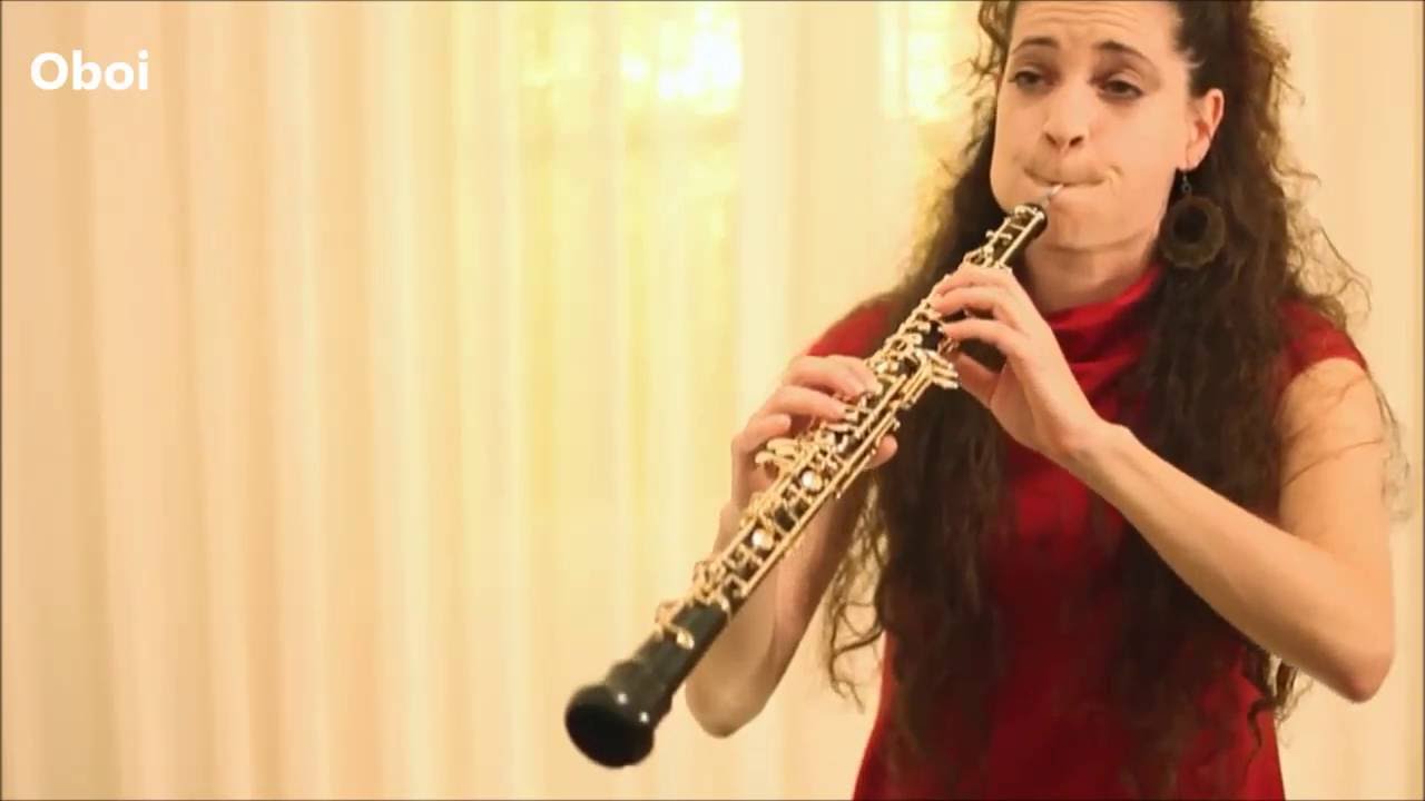 Familia de instrumente muzicale