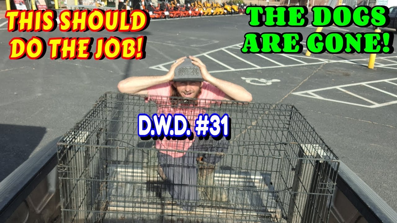 DOING WHAT NEEDS TO BE DONE | work, couple builds, tiny house, homesteading, off-grid, rv life, rv|