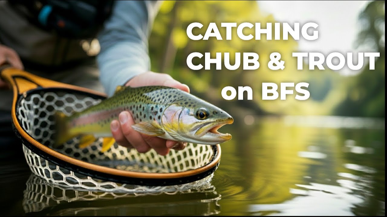 Small River BFS Fishing Adventure for Chub and Trout!