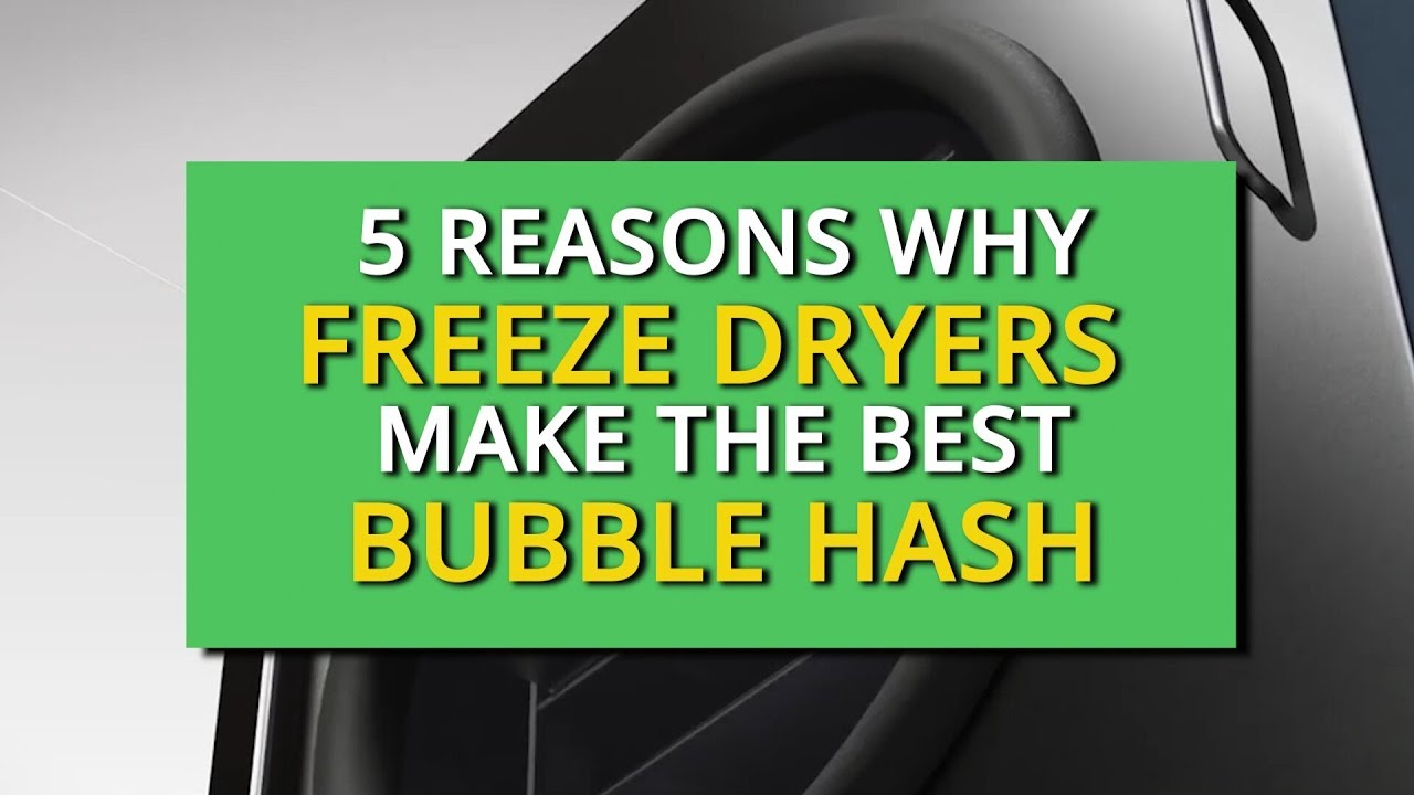 5 Reasons Why Freeze Dryers Make the Best Bubble Hash