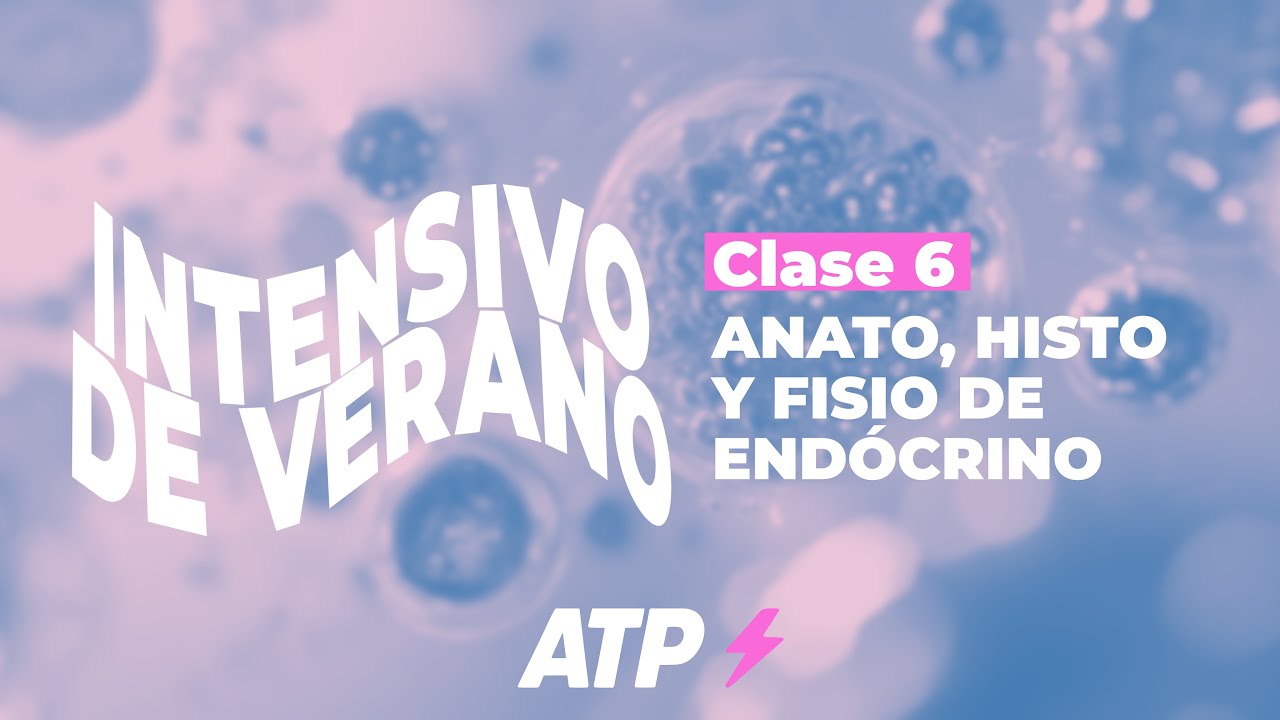 Intensivo CyD | Clase 6: Sistema endocrino