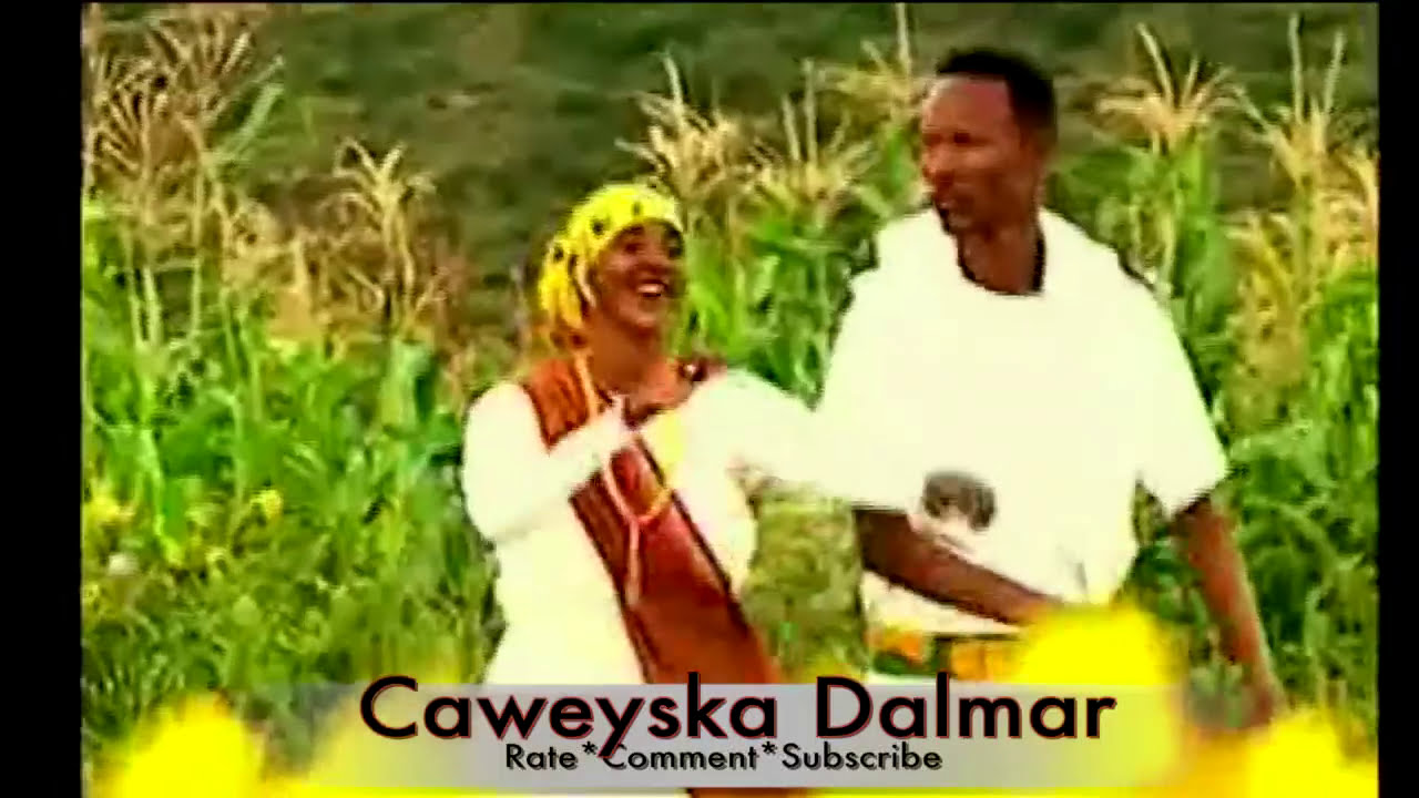 *Dhaanto |  Dhool Gu' | Nuur Caraale iyo Hodan Macalin
