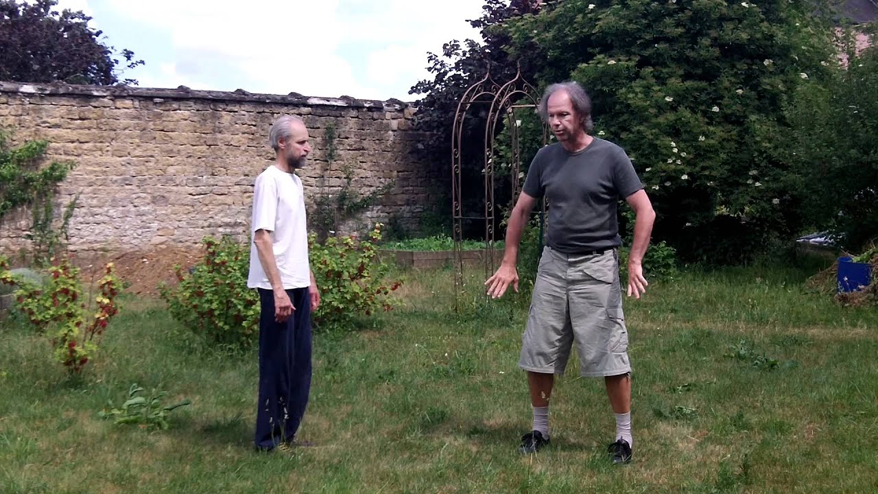 Qi Gong applications 8 brocarts - Eric Caulier