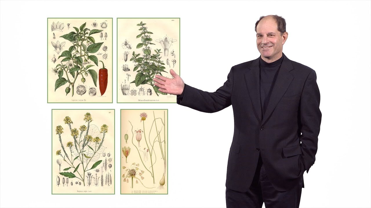 David Julius (UCSF): How peppers & peppermint identified sensory receptors for temperature and pain