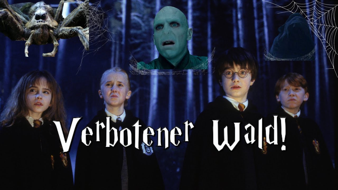 Die Geschichte des verbotenen WALDES! WAS ist wirklich dort passiert?