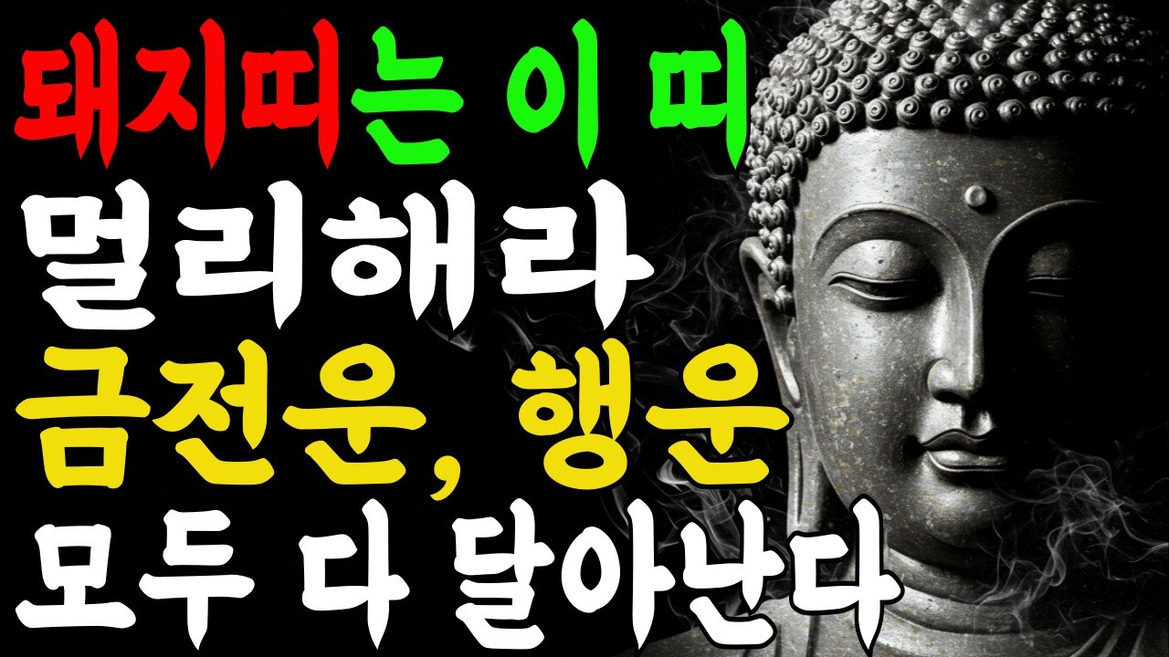 절대 피해야 할 띠 3가지 vs 돈 복 열리는 인연 3가지 I 부처님말씀 I 불교명언 I 석가모니 I 오디오북