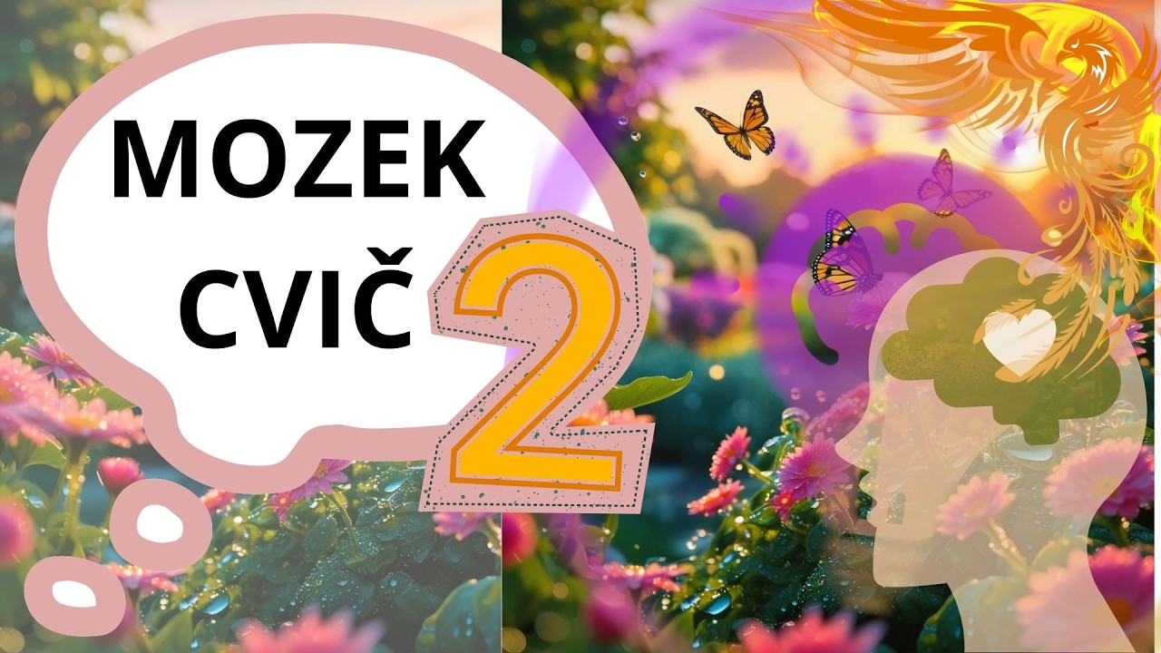 🧠 MOZEK CVIČ #2 | Na plný plyn! |Krátká výzva na pozornost a paměť