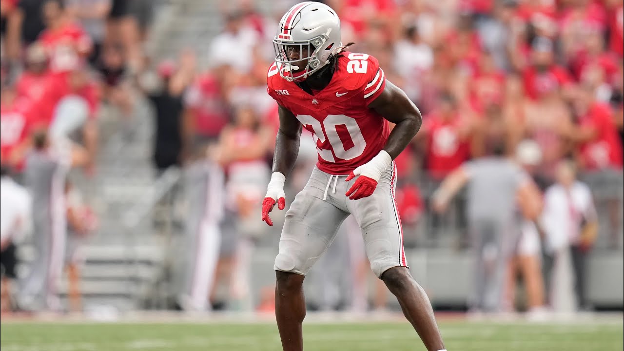 Arvell Reese full 2024 highlights! Ohio State LB