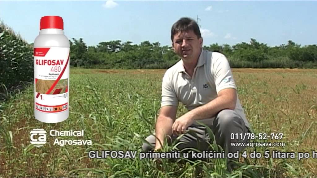 Primena Glifosava u suzbijanju korova - dipl. inž.  Zoran Radanović