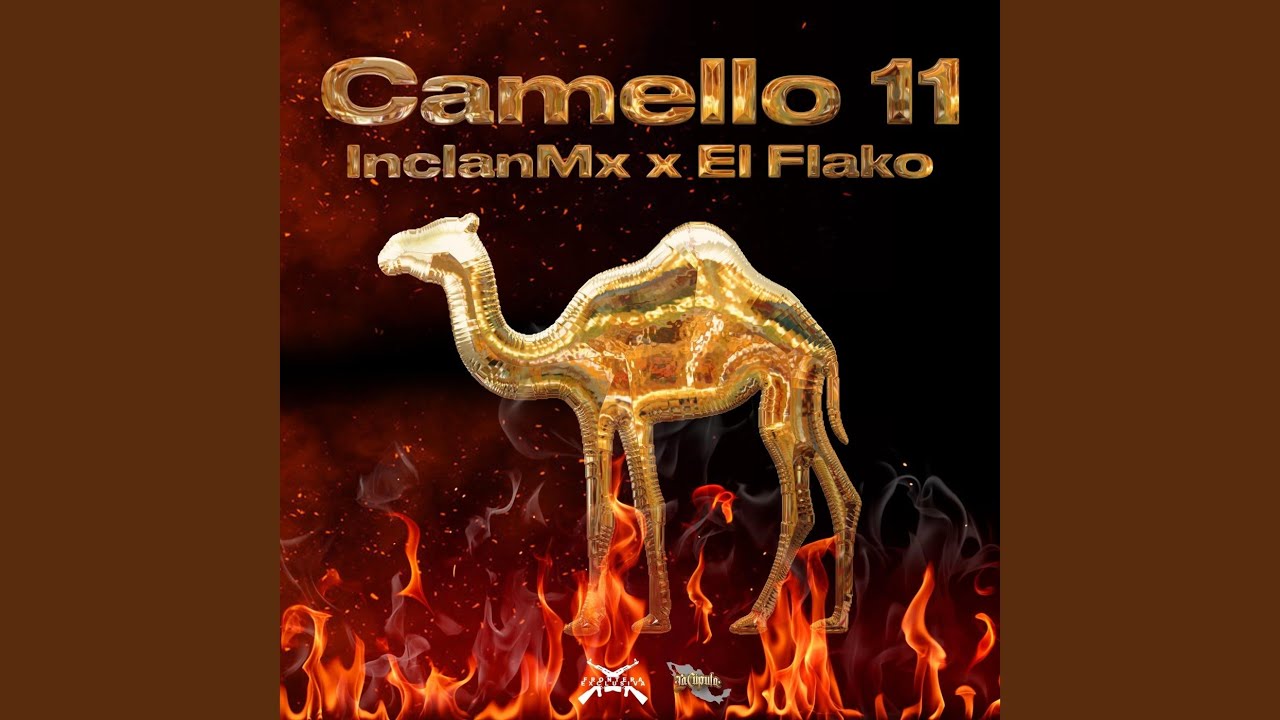 Camello 11
