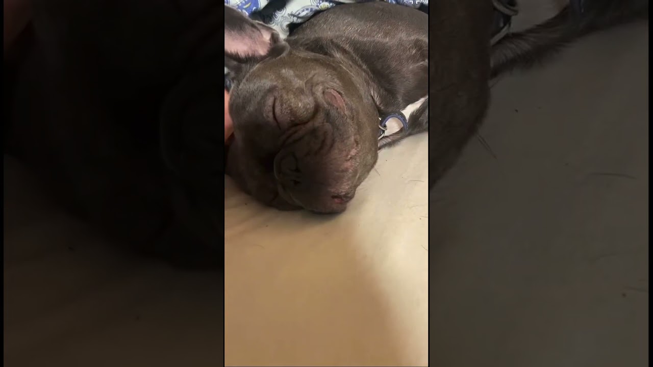 #пончик