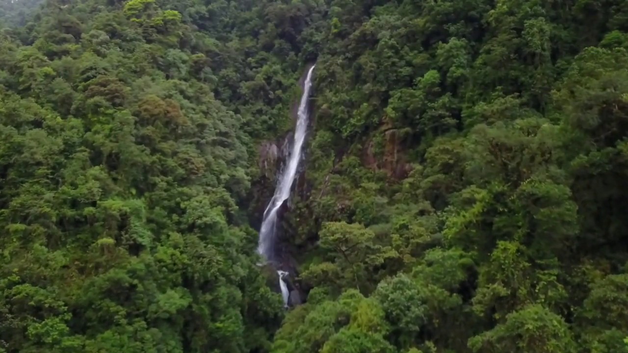 Costa Rica, Cartago & Tapanti National Park
