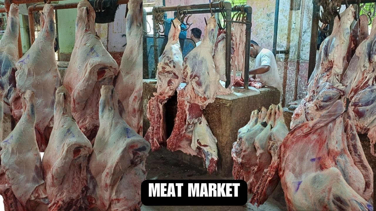 Bhains Ka Gosht WholeSale in Karachi Beef Meat Male Buffalo Pakistan 2024