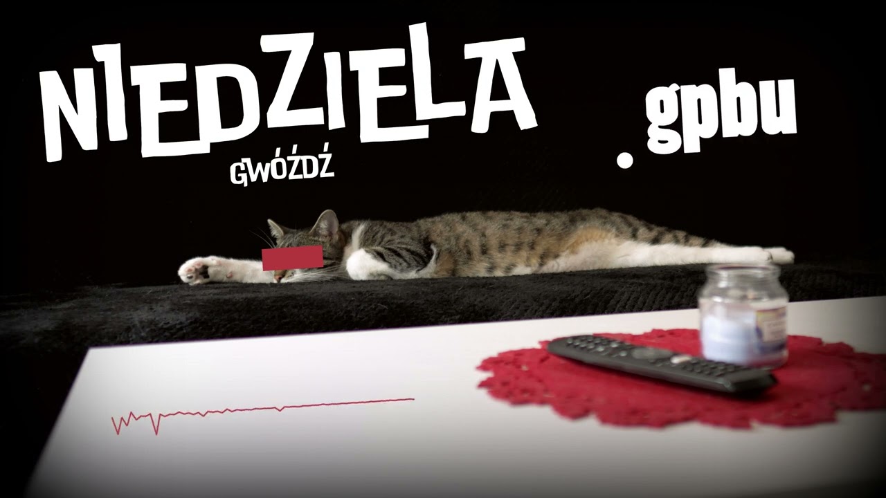 GWÓŹDŹ_GPBU - NIEDZIELA