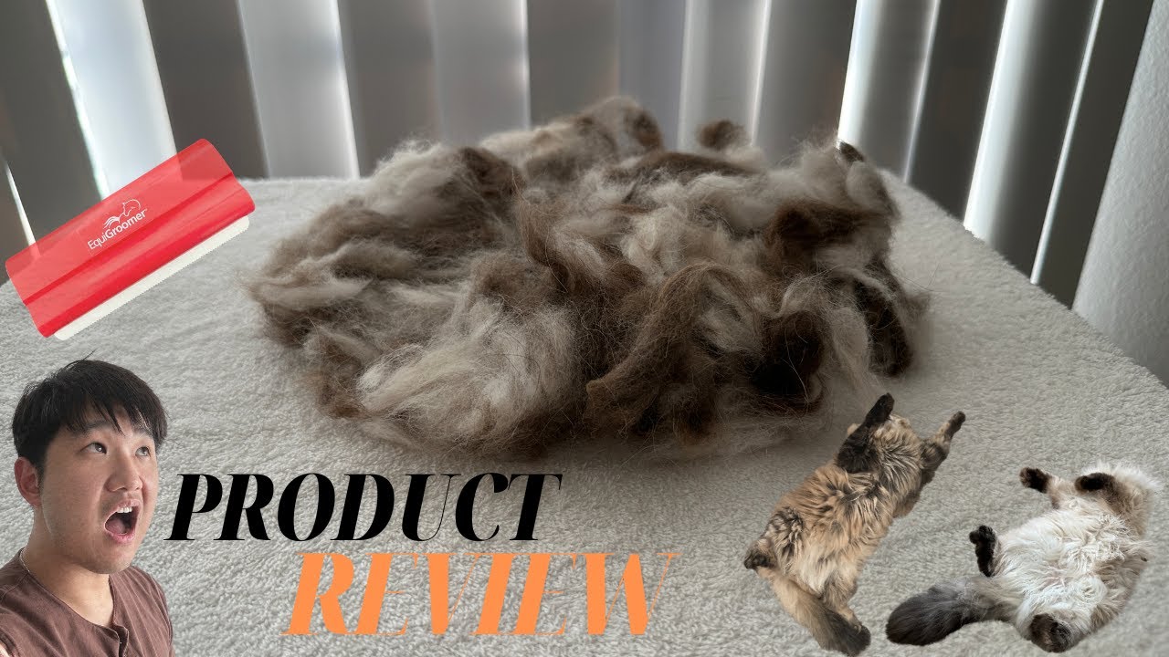 The Grooming Tool For Long Haired Cat Fur And Undercoat - Equigroomer Brush Review