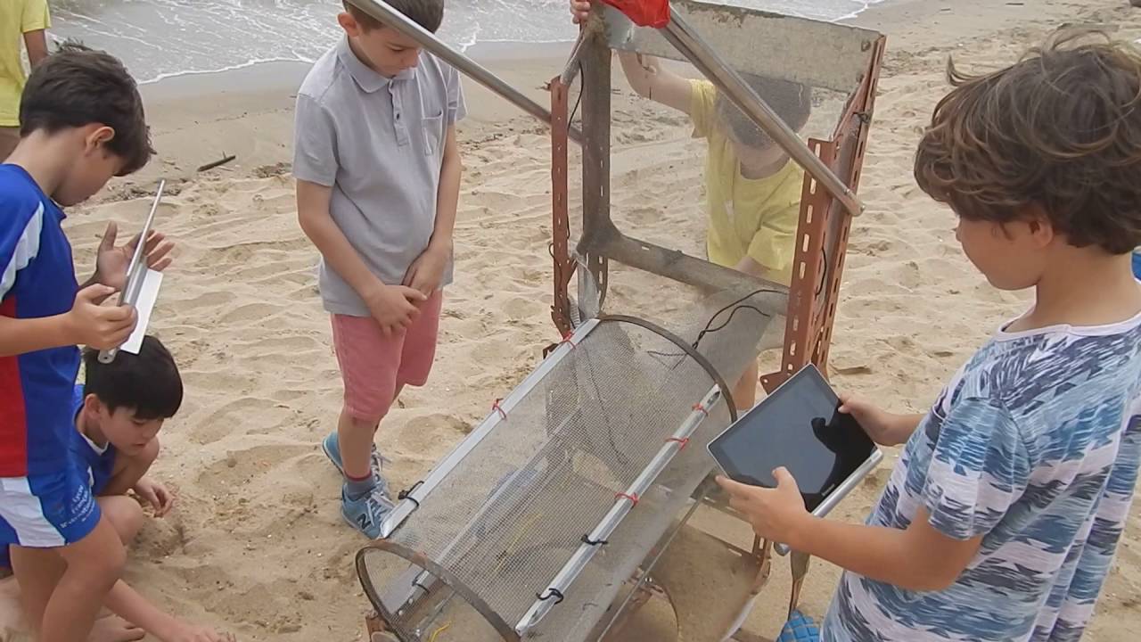 Beach Cleaner model 1 V1.0