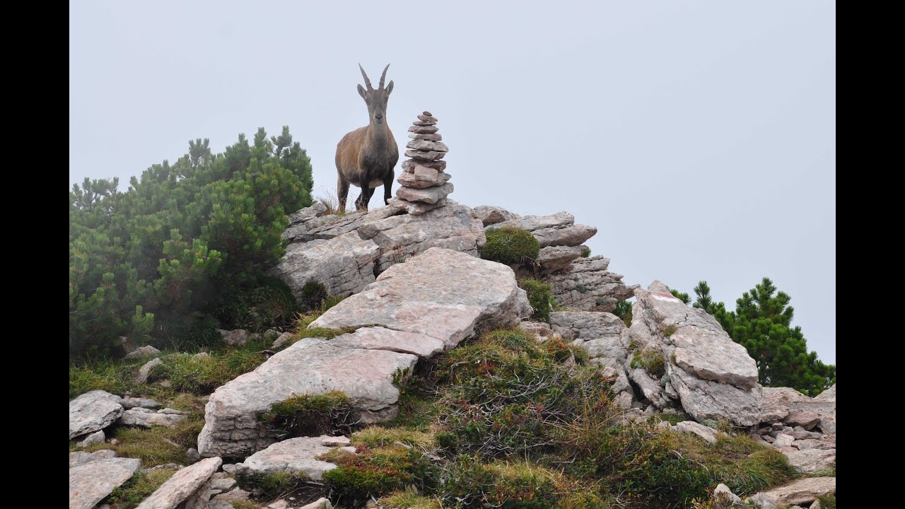 ERTO E CASSO - I libri di San Daniele da rifugio Cava Buscada