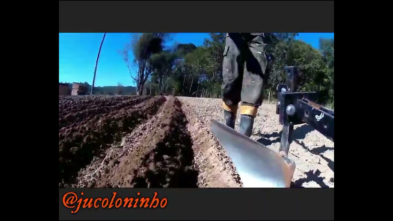 tratorito husqvarna TF 230 arando terra ( fazendo camalhão )