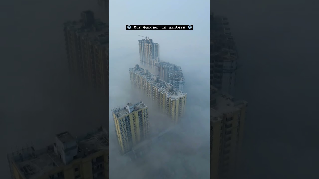 Enchanting Fog Blanket Reveals a Dreamy Cityscape! Cold morning in gurgaon