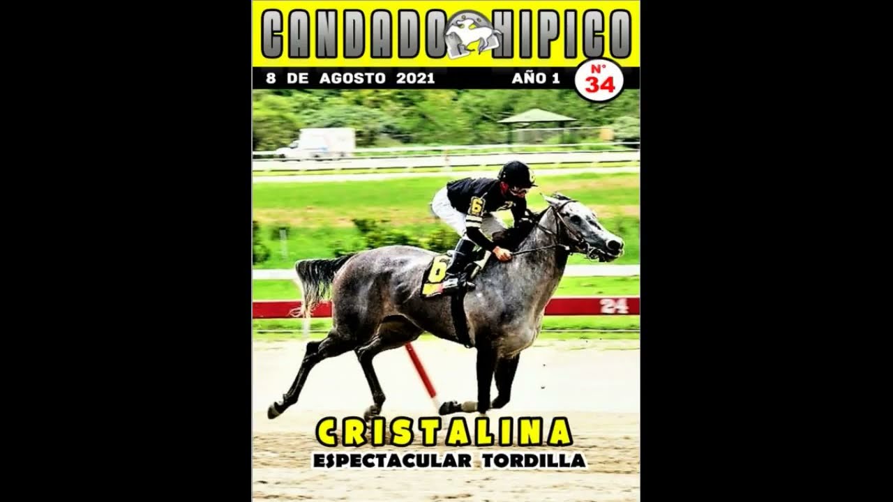 PRONOSTICOS PARA LA RINCONADA DOMINGO 8 DE AGOSTO 2021