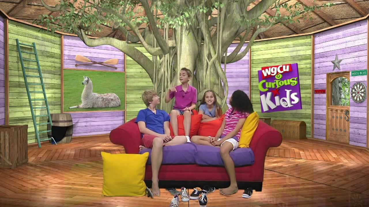 Curious Kids: The Everglades