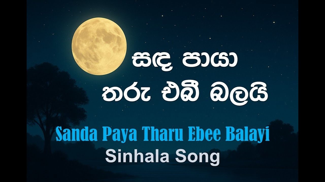 සඳ පායා තරු එබී බලයි | Sinhala Song | Sri Lanka Music