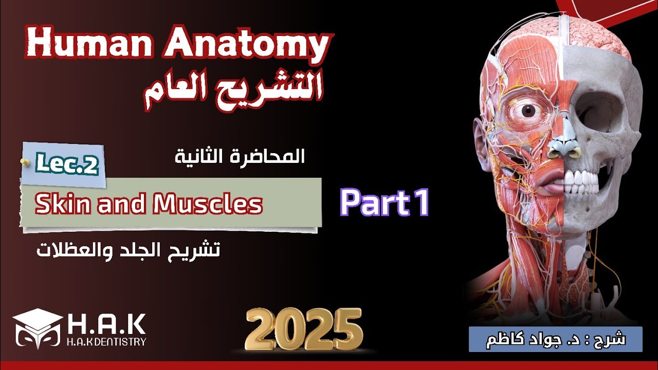 Human anatomy || Lec.2 || Skin and Muscles - Part 1 || طب أسنان مرحلة أولى