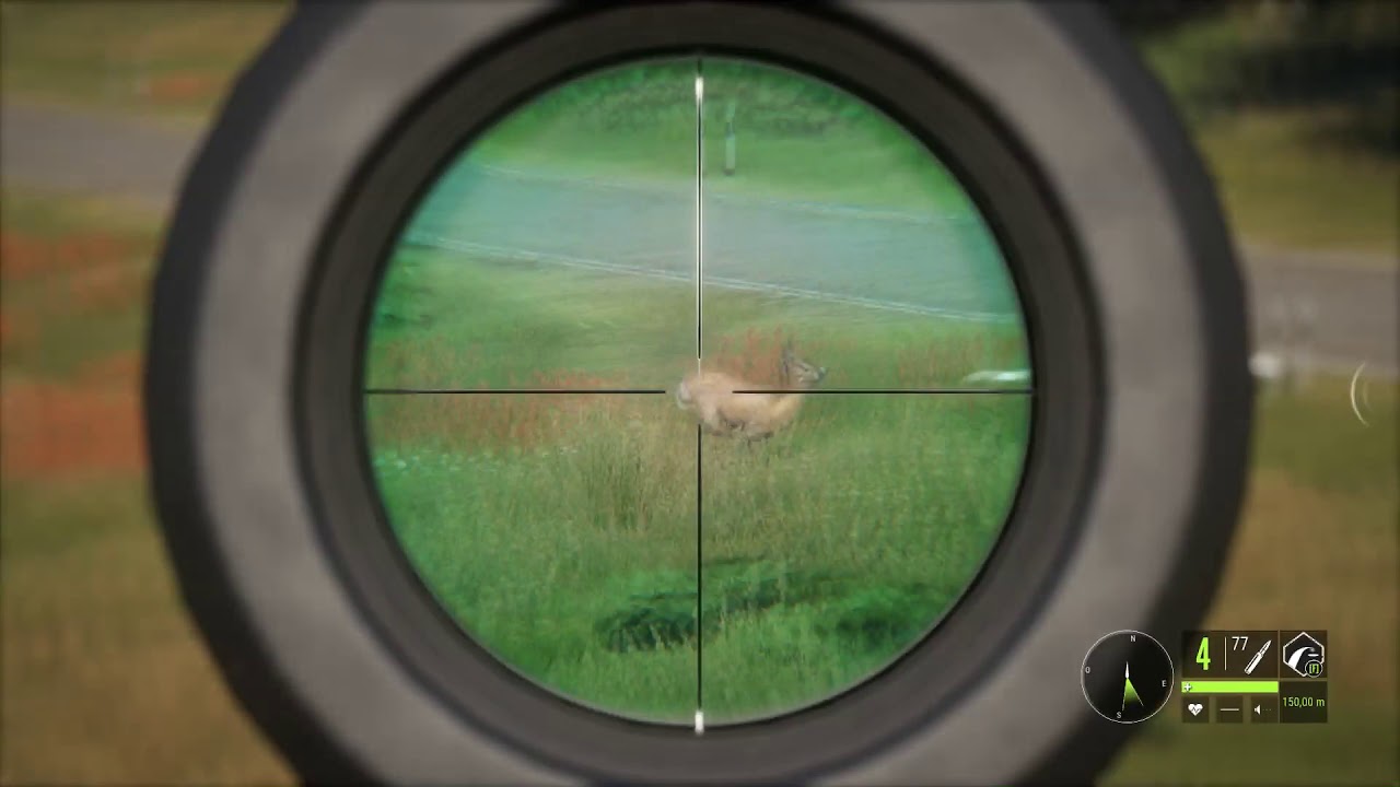Battues sur theHunter Call of the Wild #2