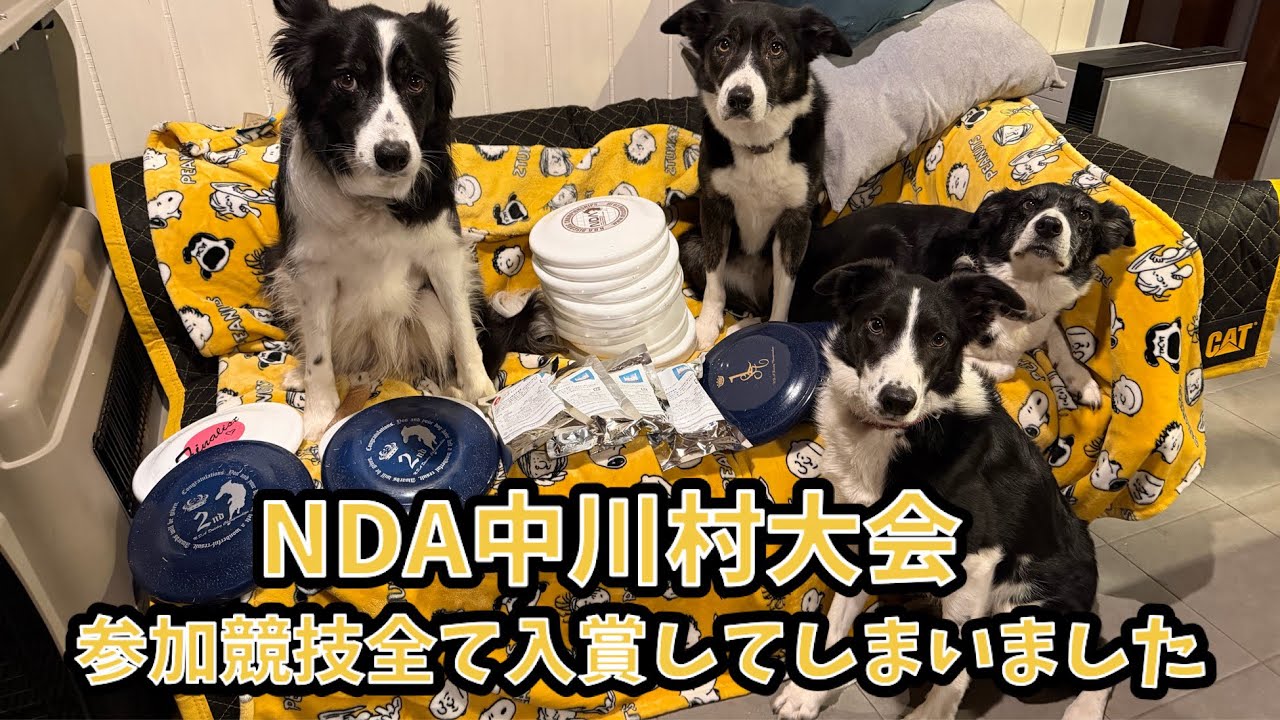 【NDA中川村大会】参加競技全て入賞してしまいました💦