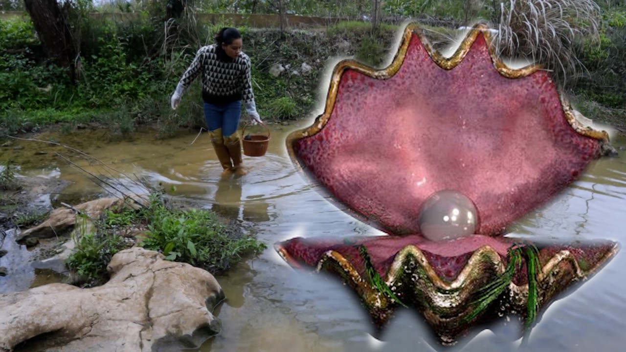 Diamond Poisonous' Brilliant Pearl 'Discovered at the Bottom of the Riverbed, Girl Super Lucky