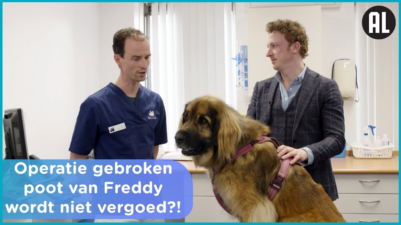 Misleid door Dierenverzekering.nl