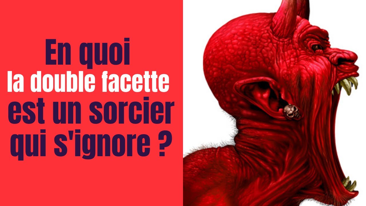 ☢ ATTENTION DANGER : EN QUOI LA DOUBLE FACETTE EST UN SORCIER QUI S’IGNORE ?