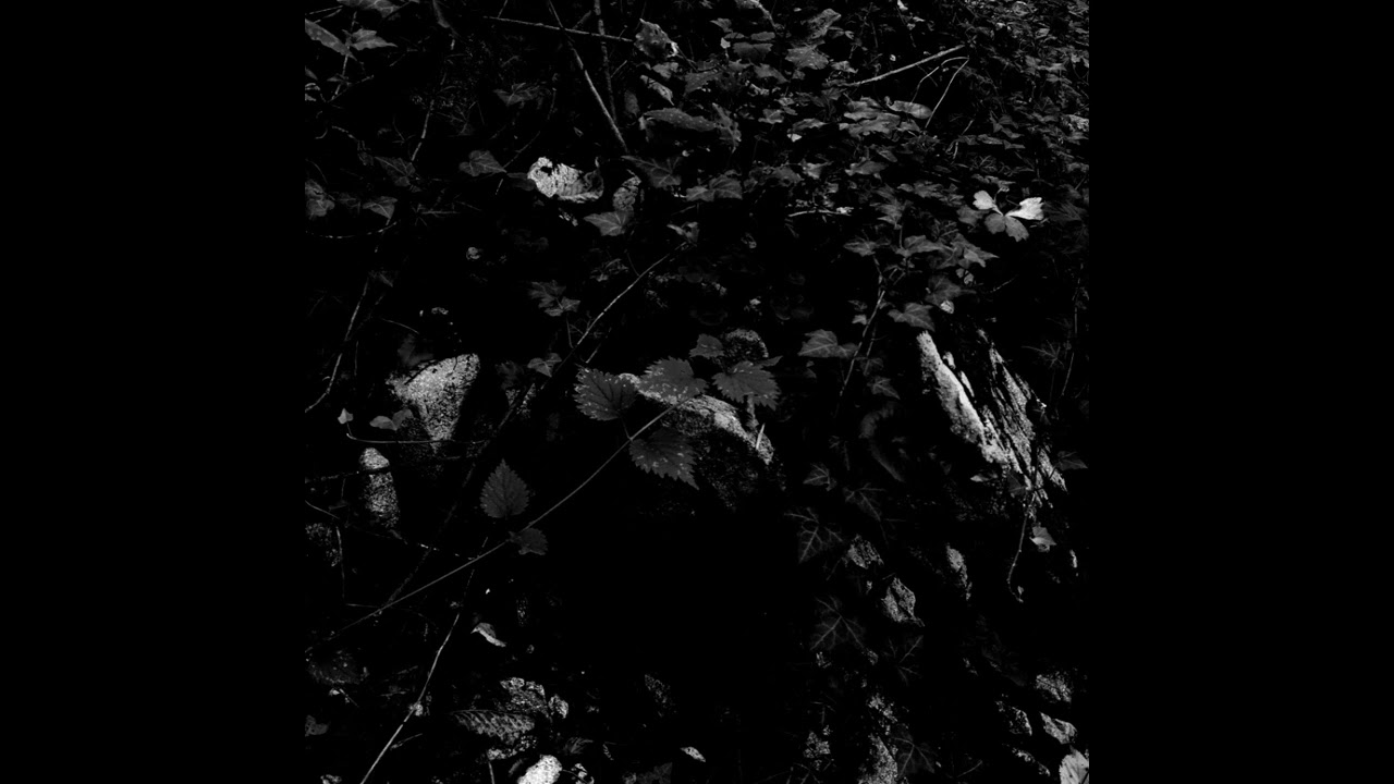 Unknown Artist - Untitled (Dark Ambient / Noise / Piano)
