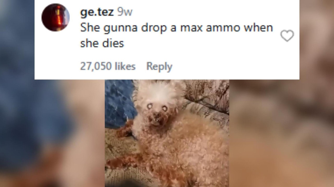 CRAZY Instagram Comments #26