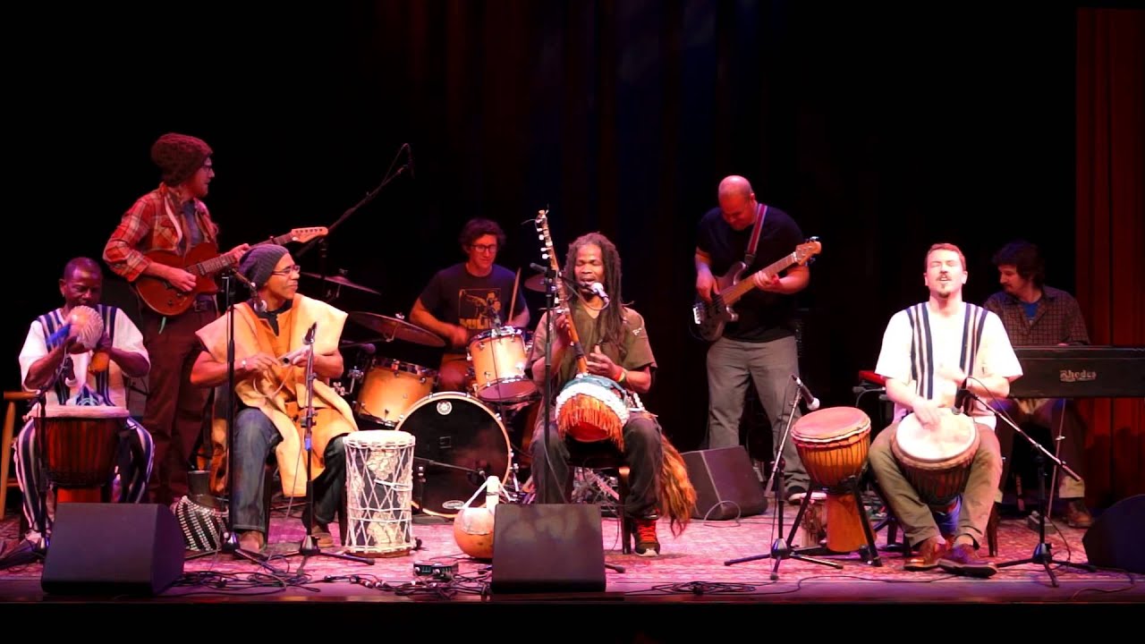 Nungulunba by Tani Diakite & the Afrofunkstars