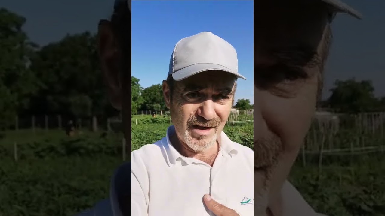 الزراعة في النمسا وأوروبا الجزء الأول