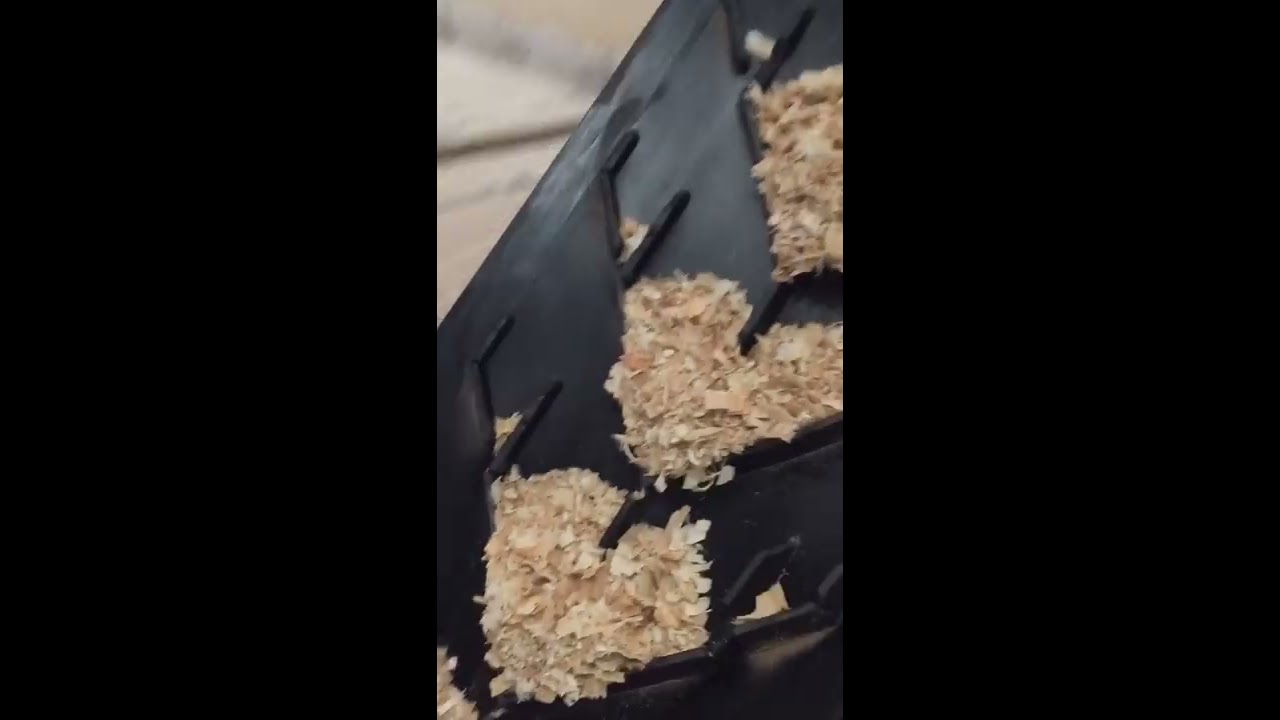 La production de copeaux de bois pour litiere chevaux