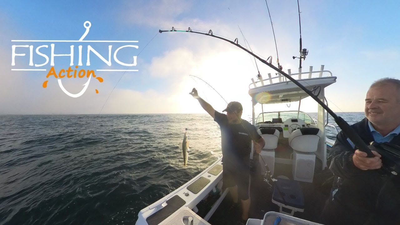 Flathead - bream - morwong - snapper | Sydney Reef Fishing | Kurnell & Botany Bay |  Fishing Action