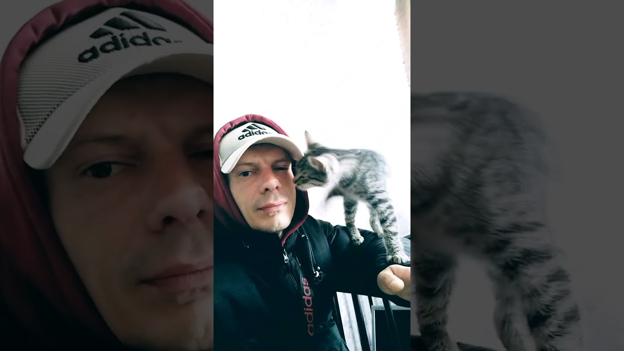 cat #love #team 🐈 😺 вот это любовь)))))#snow #beats #funny