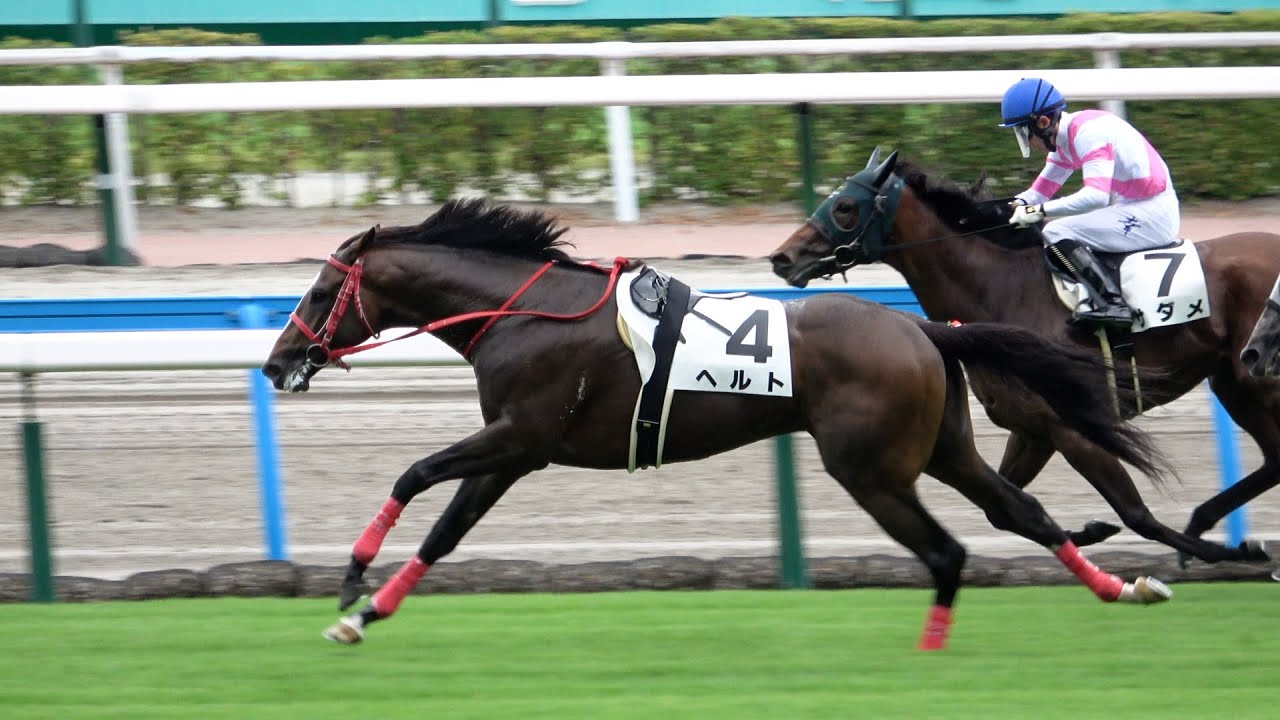 2024夏の小倉開幕 ④ヘルト騎手を落として一人になりラフプレーで1着になった後に他馬にウザがらみする 現地映像 【放馬】【落馬】