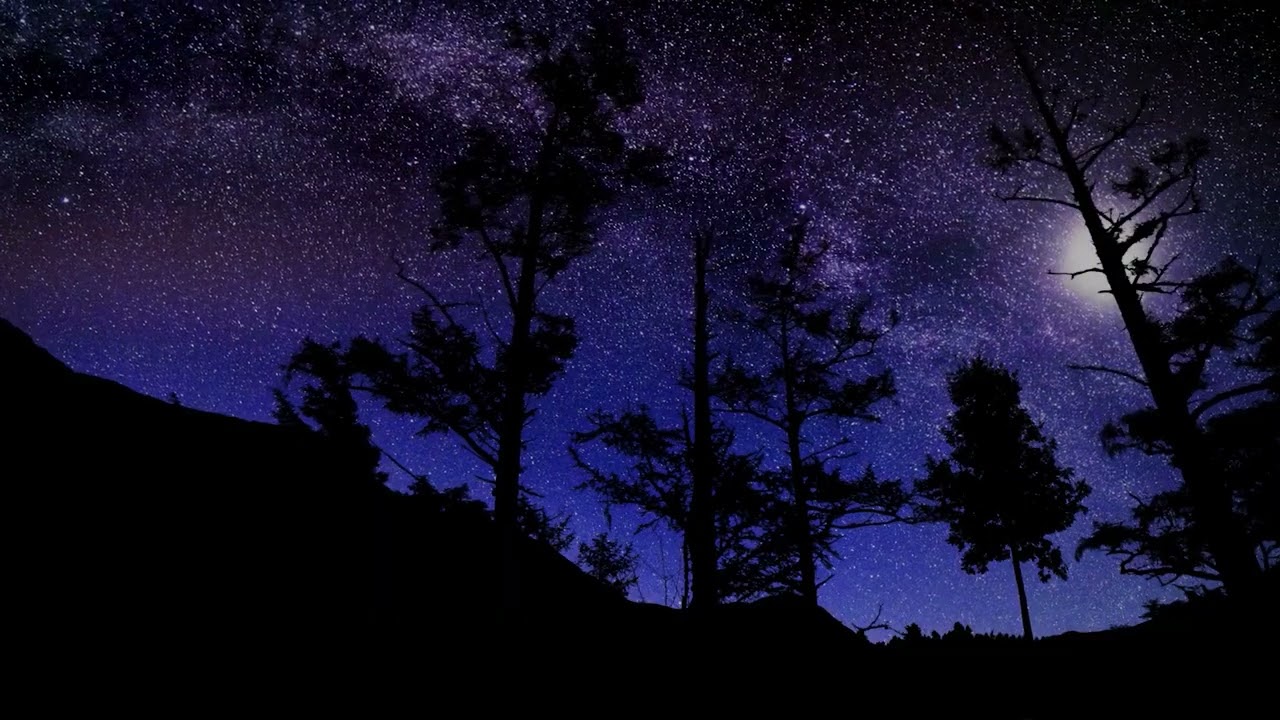 WORLDWIDEWOLF - When I'm With You