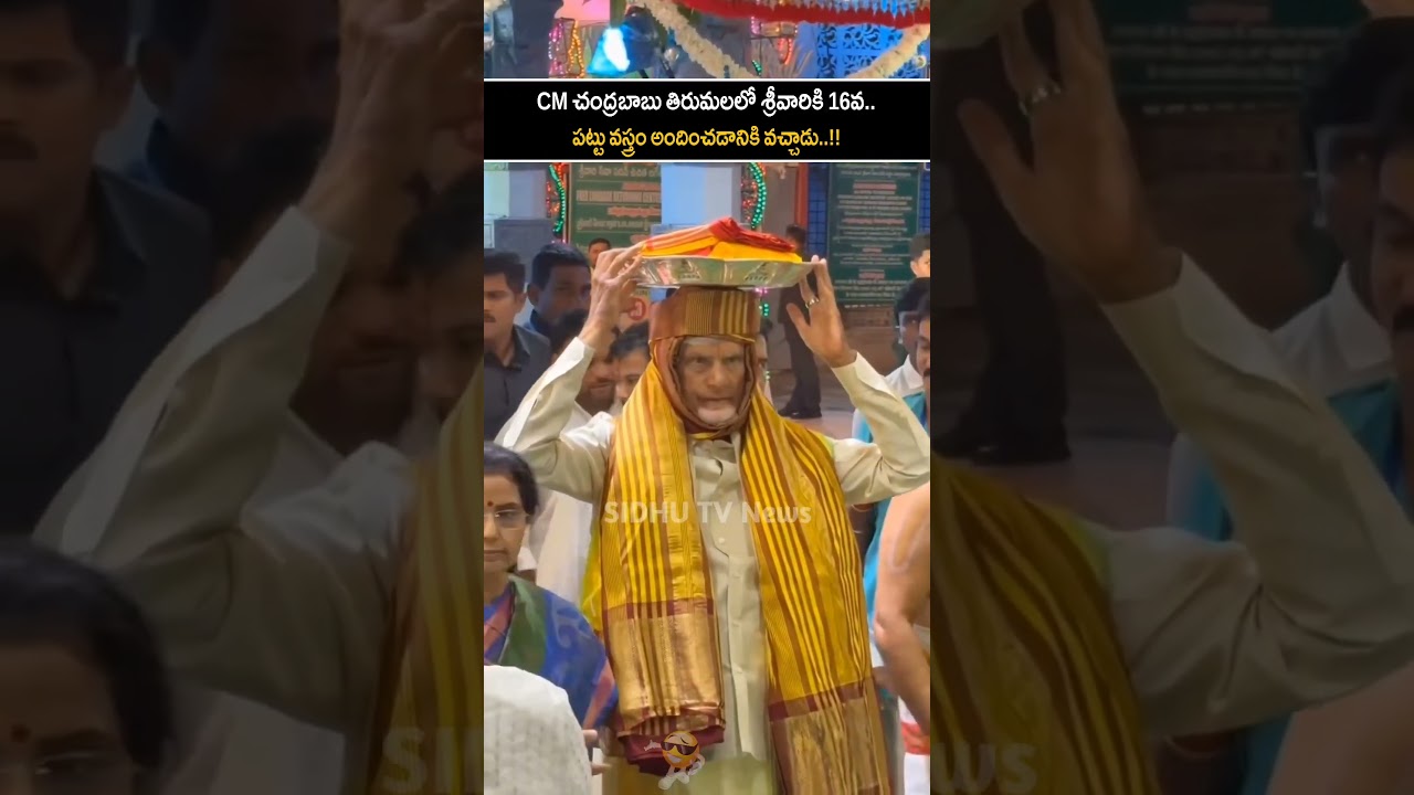 CM Chandrababu offering Pattu clothes to Srivari at Tirupati.. | #shorts #sidhutv