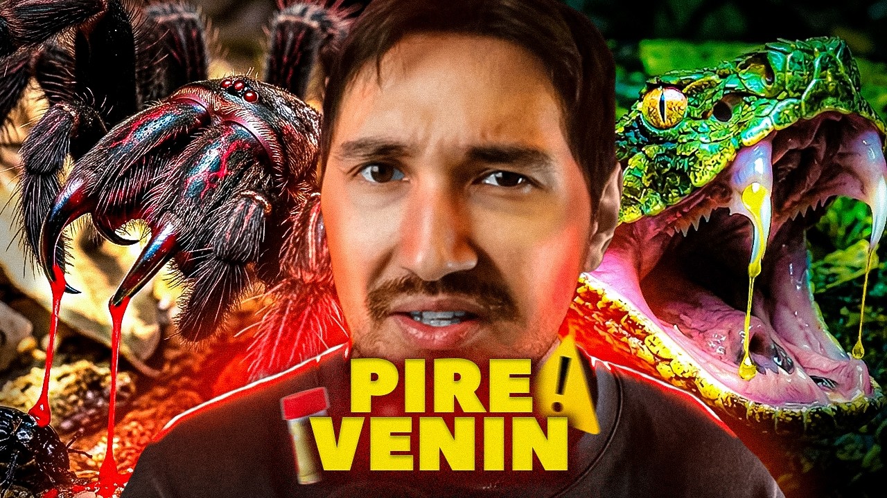 TIER LIST : LES VENINS LES PLUS DOULOUREUX