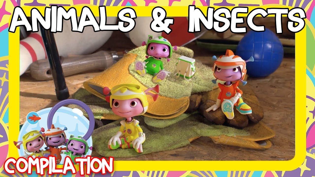 Project: Animals & Insects 🐇 🐛 | FLOOGALS COMPILATION | ZeeKay Junior