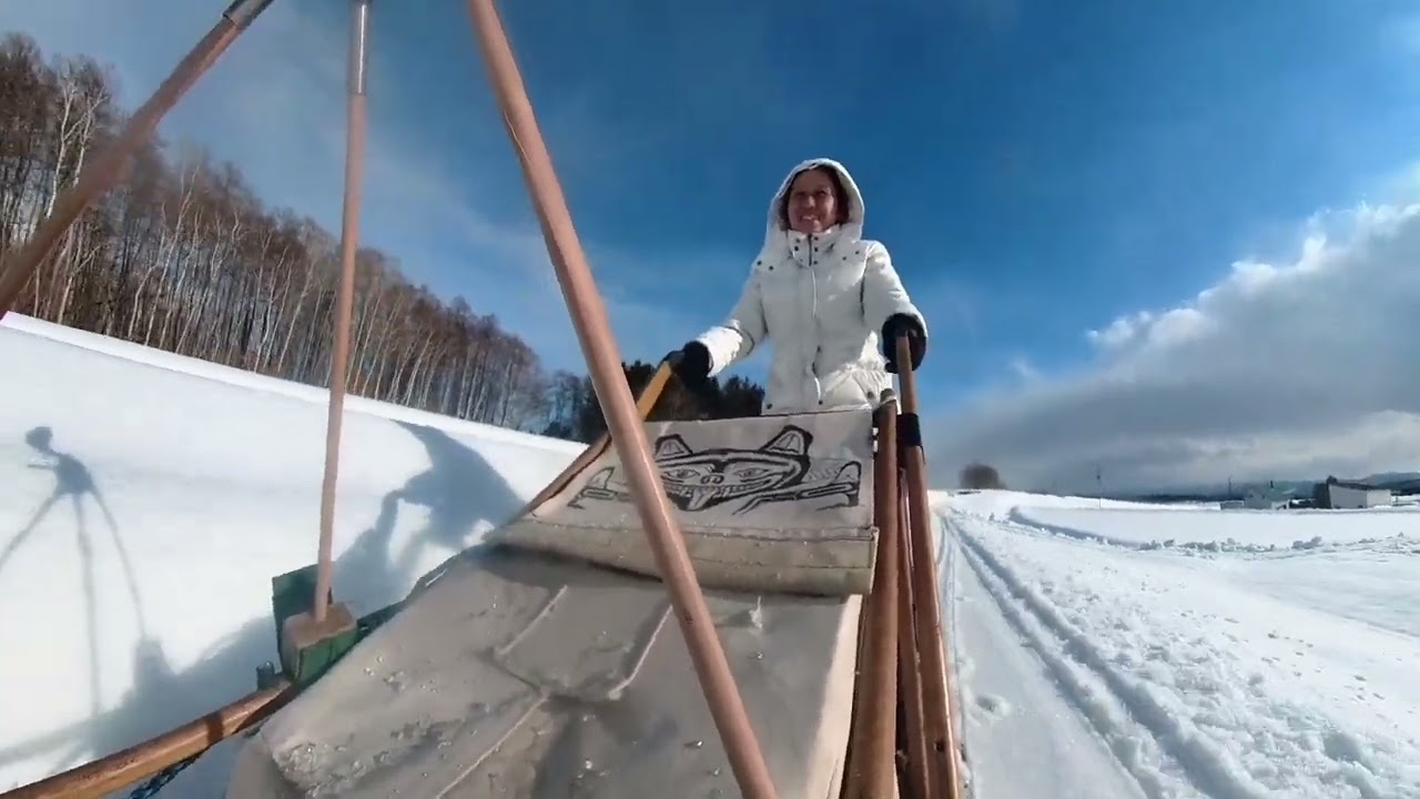 2025.03 - Dogsledding in Hokkaido