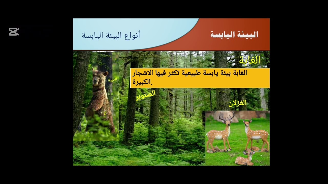 انواع البيئه اليابسه 